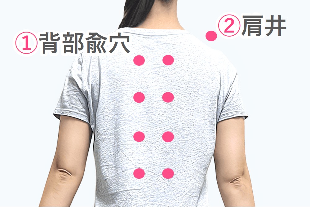 背部兪穴・肩井