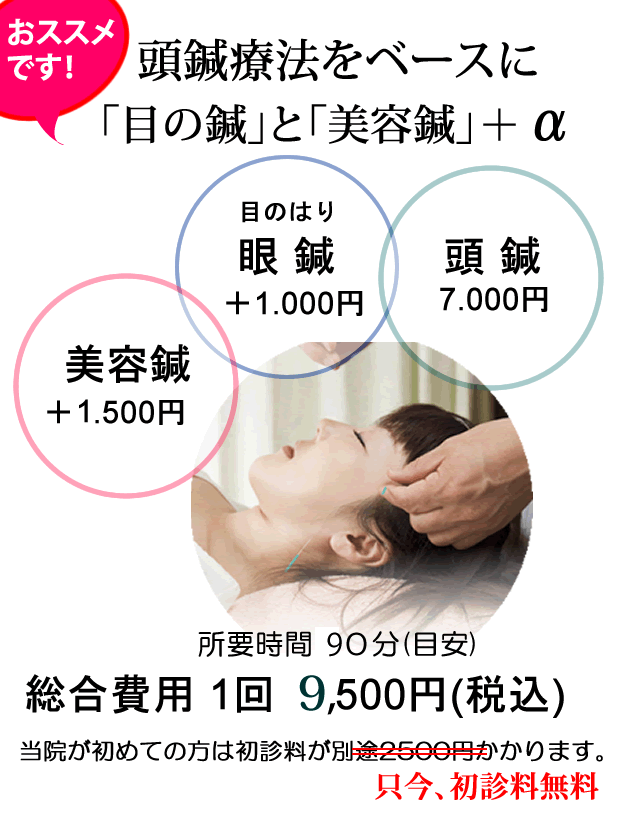 セットコース「目の鍼」「頭鍼」「美容鍼」+α(アルファ)で9500円(税込)で只今初診料無料の画像